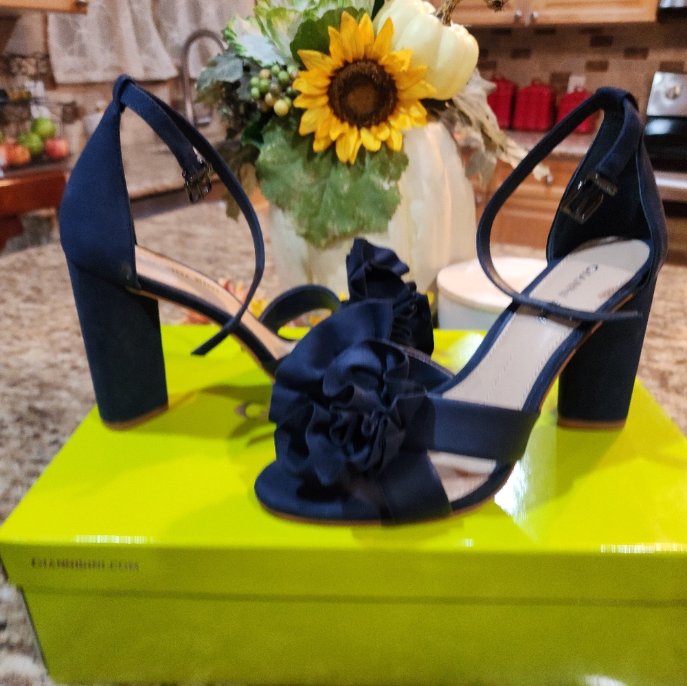 Gianni Bini Shoes
